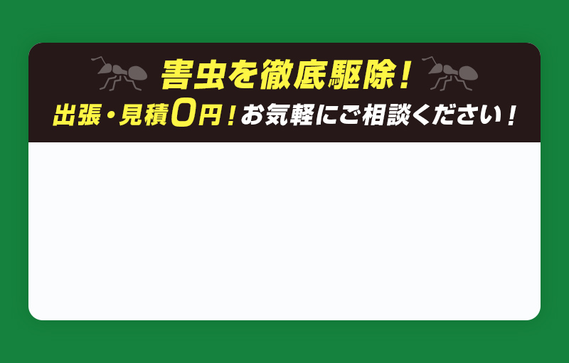 害虫を徹底駆除！出張・見積0円！お気軽にご相談ください！