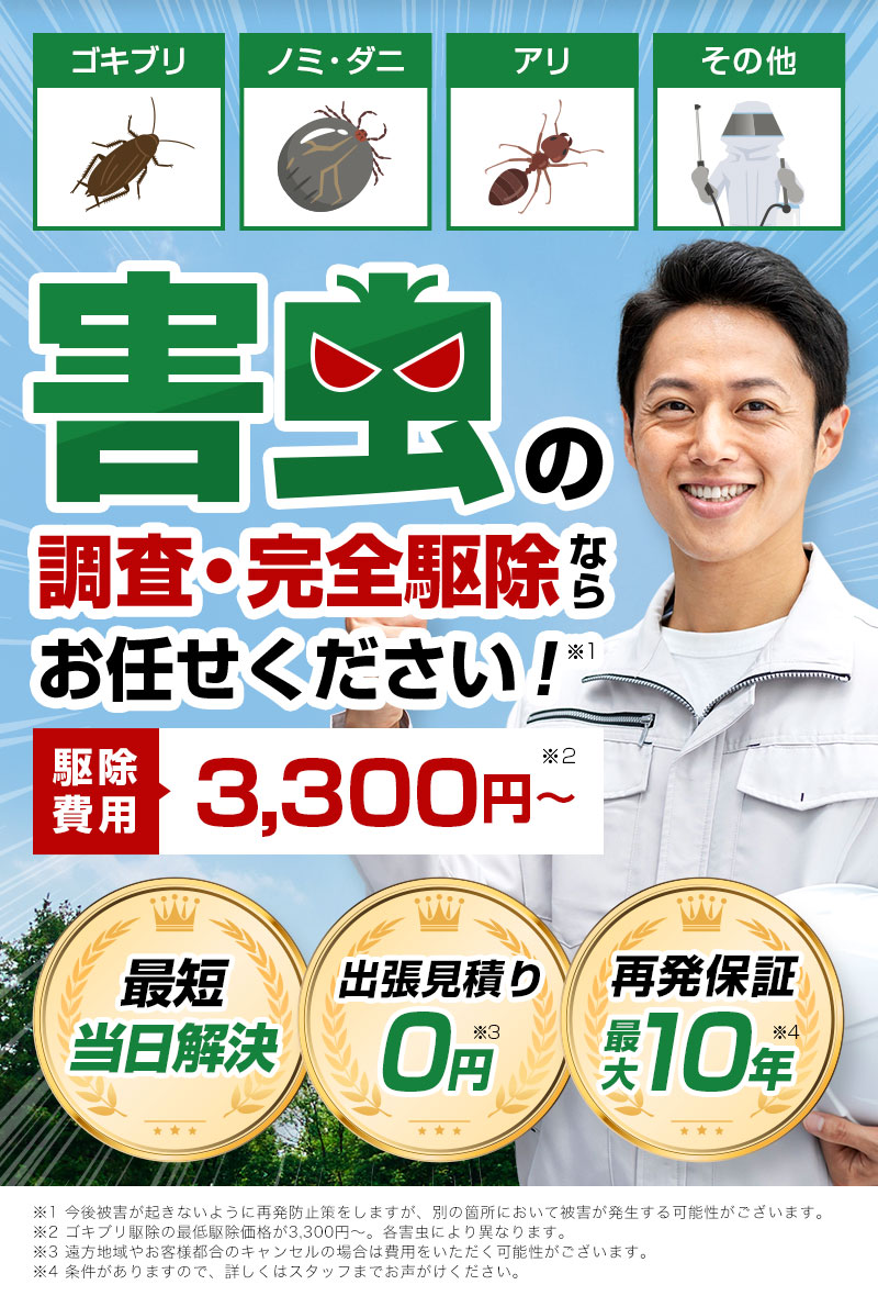 害虫の調査・完全駆除ならお任せください！駆除費用3,300円～【最短当日解決・出張見積り0円・再発保証最大10年】ゴキブリ・ノミ・ダニ・アリ・その他