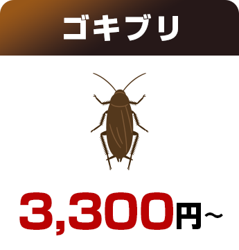 ゴキブリ3,300円～