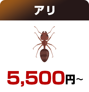 アリ5,500円～