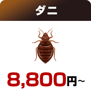 ダニ8,800円～