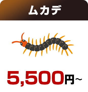 ムカデ5,500円～